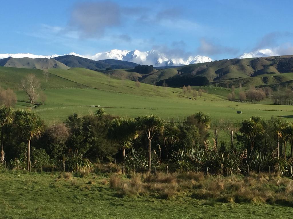 Fallow Hut Masterton Buitenkant foto